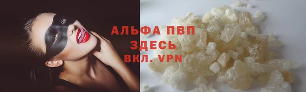 спиды Горняк