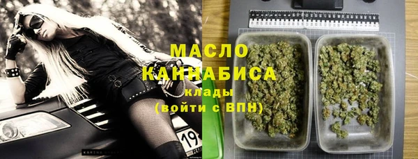 спиды Горняк