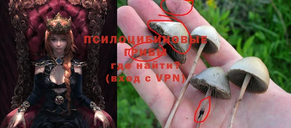 спиды Горняк