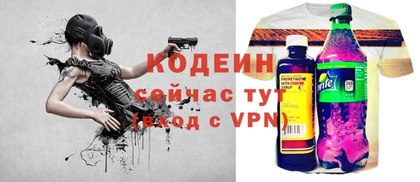 спиды Горняк