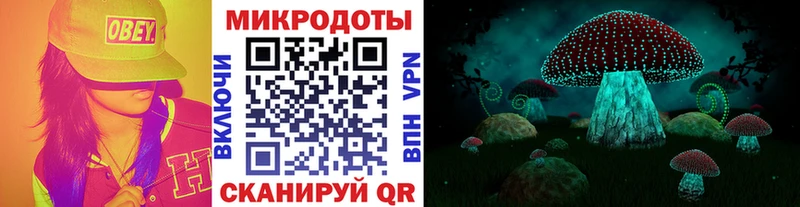 Купить где  Похвистнево  Псилоцибиновые грибы прущие грибы 